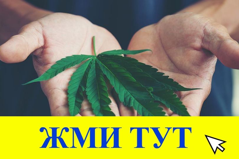 Купить наркотики в Козьмодемьянске